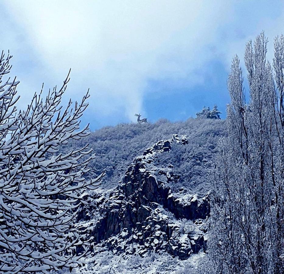 Hasi Hotel Jermuk Exteriör bild