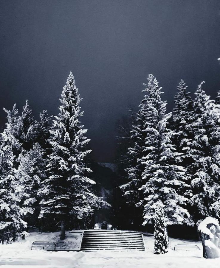 Hasi Hotel Jermuk Exteriör bild